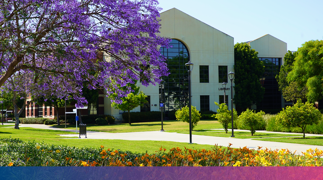 Library building surrounded by green trees, purple blossoms, and orange flowers on a sunny day.